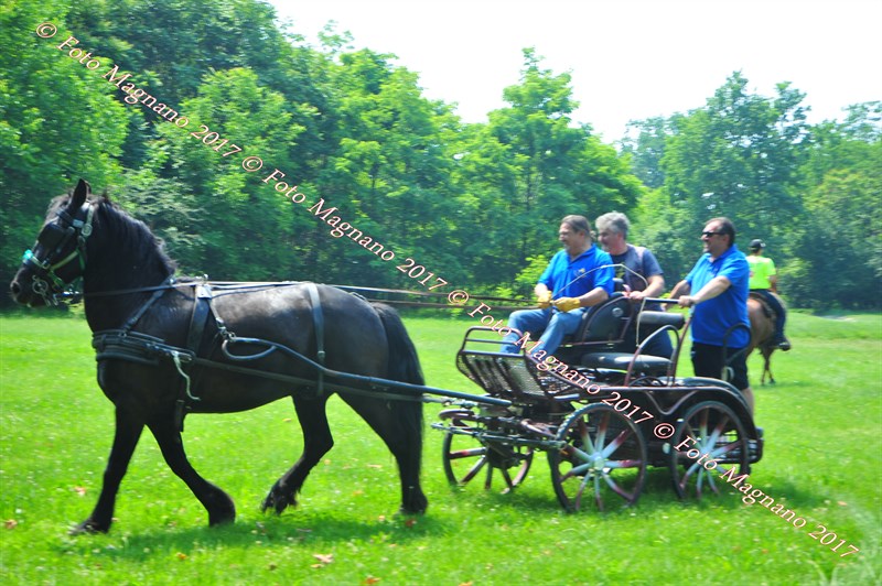 DSC_1043.JPG